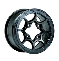 Advantech International